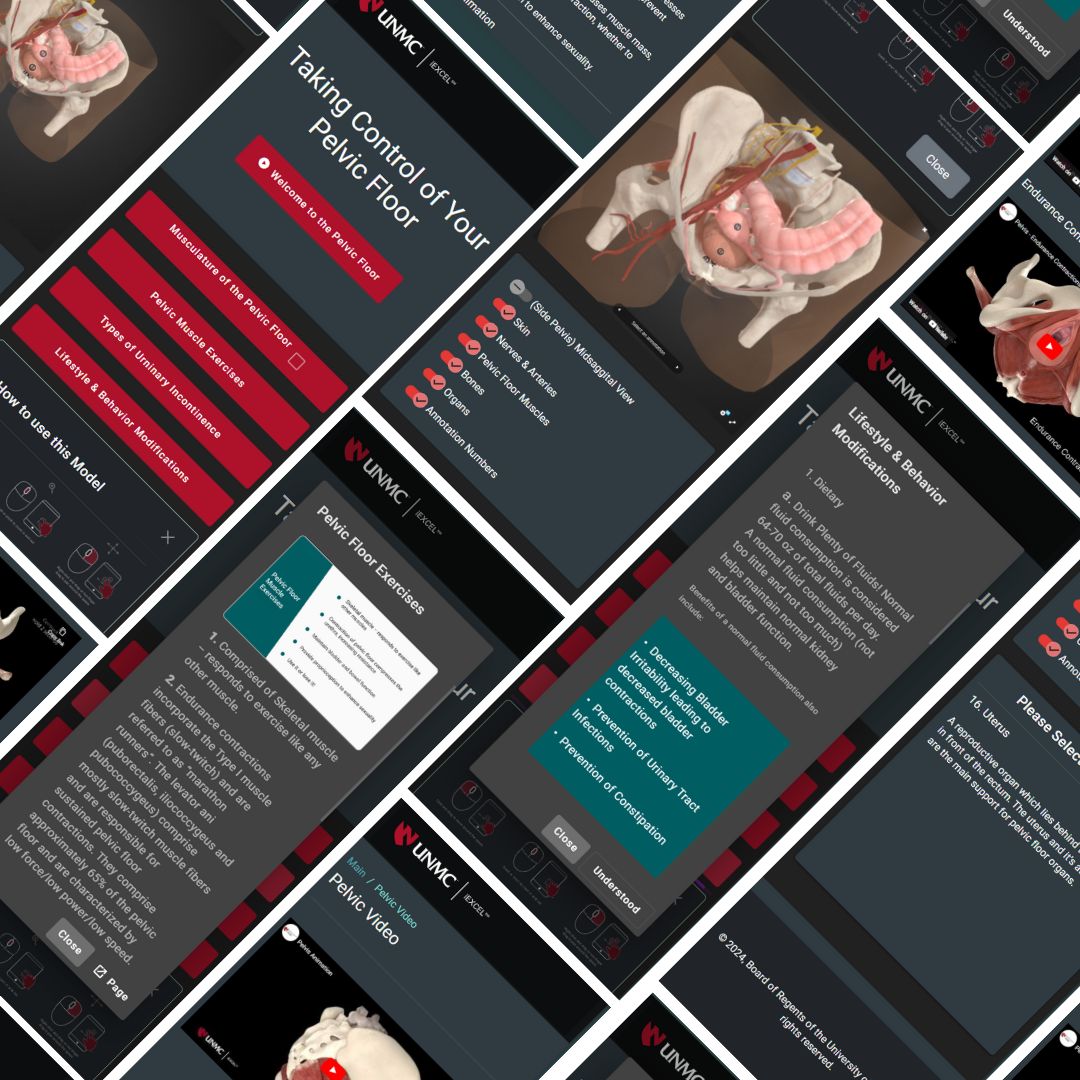3D Pelvic Model App